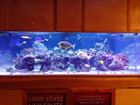Name:  20140708_0849301.jpg
Views: 1162
Size:  29.9 KB