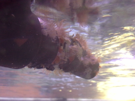 Name:  20140709_193514.jpg
Views: 1289
Size:  67.7 KB
