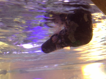 Name:  20140709_1935321.jpg
Views: 1300
Size:  78.4 KB