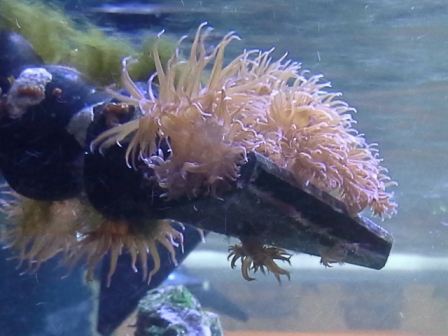 Name:  20140709_193052.jpg
Views: 1275
Size:  85.4 KB