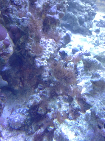 Name:  20140709_193112.jpg
Views: 1333
Size:  121.8 KB