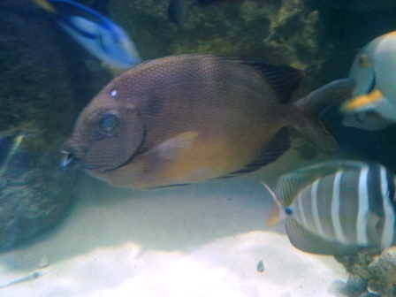 Name:  20140709_132934.jpg
Views: 1266
Size:  79.0 KB