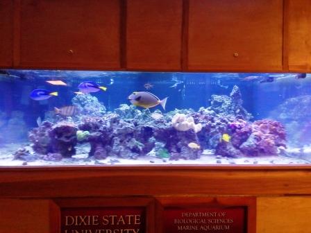 Name:  20140708_0849301.jpg
Views: 1102
Size:  31.0 KB