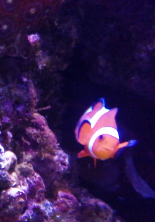 Name:  20140708_201402.jpg
Views: 1027
Size:  73.0 KB
