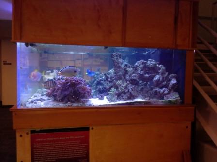 Name:  20140708_084844.jpg
Views: 951
Size:  25.0 KB