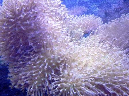 Name:  20140705_19570411.jpg
Views: 932
Size:  40.1 KB