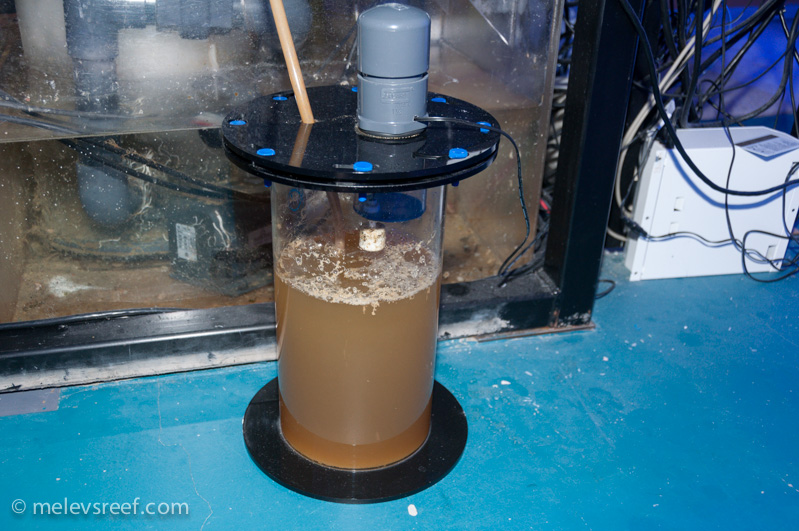 Name:  biopellet-cleanup-5.jpg
Views: 883
Size:  220.8 KB