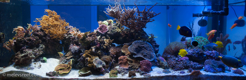Name:  fts-400g.jpg
Views: 360
Size:  175.3 KB
