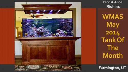 Name:  10300876_245452568976699_727494640529820117_n.jpg
Views: 1421
Size:  25.2 KB