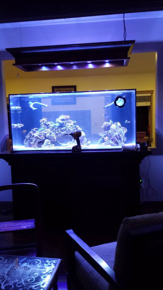 Name:  1280827_10201396194459538_1789321294_n.jpg
Views: 1111
Size:  49.4 KB
