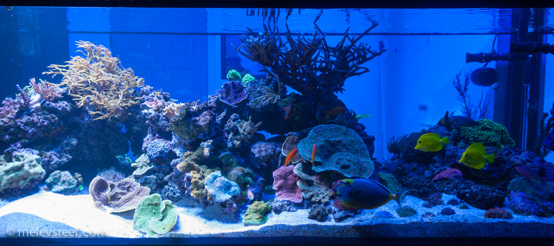 Name:  fts-824.jpg
Views: 1916
Size:  218.1 KB