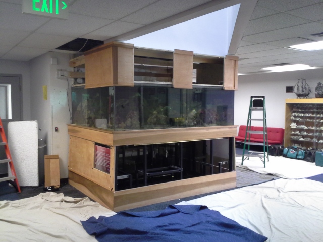 Name:  20140823_094402 (640x480) (2).jpg
Views: 1000
Size:  189.4 KB