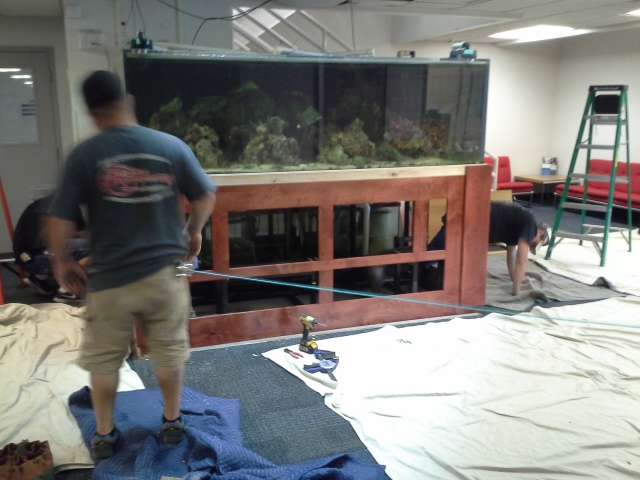 Name:  20140823_115131 (640x480) (2).jpg
Views: 908
Size:  192.8 KB