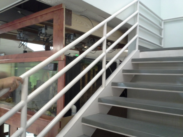 Name:  20140823_130346 (640x480) (2).jpg
Views: 979
Size:  181.1 KB