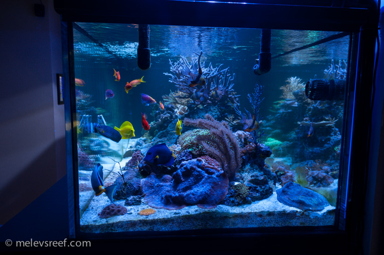 Name:  sept-fts-2.jpg
Views: 2940
Size:  231.0 KB