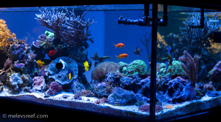 Name:  angled-400g.jpg
Views: 2826
Size:  256.0 KB
