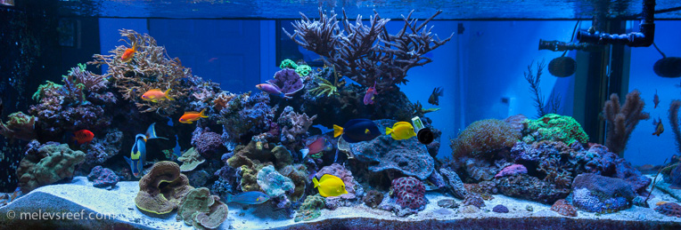 Name:  400g-fts-765px.jpg
Views: 1923
Size:  188.0 KB