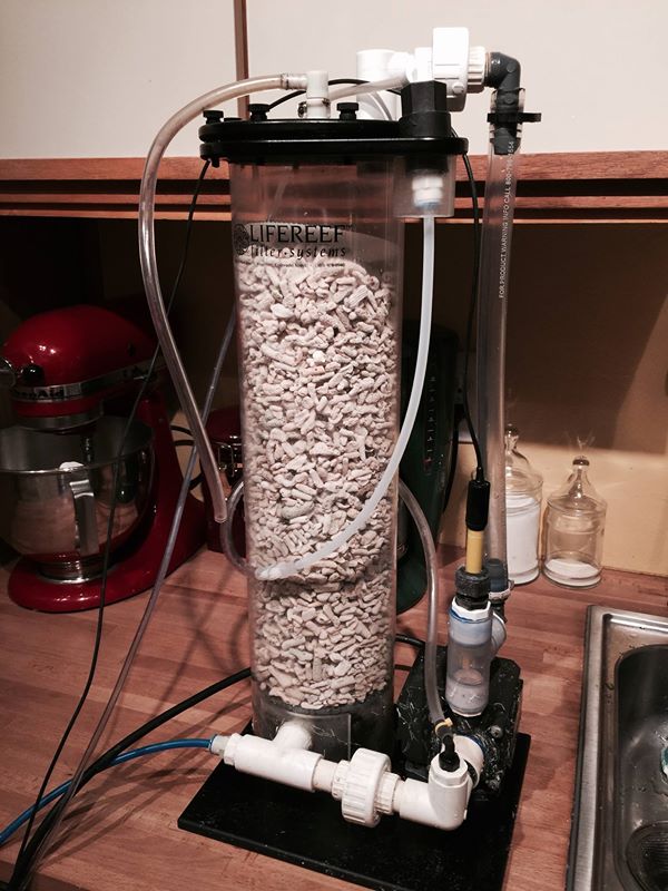 Name:  calcium-reactor-reborn.jpg
Views: 354
Size:  85.5 KB