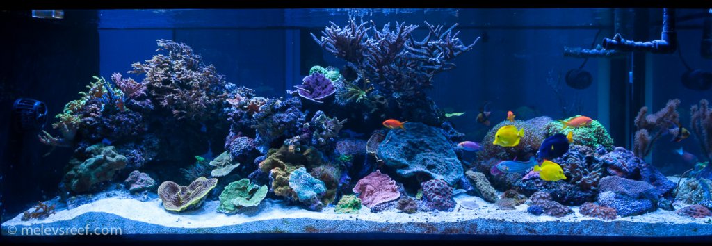 Name:  fts-nov9.jpg
Views: 735
Size:  96.1 KB