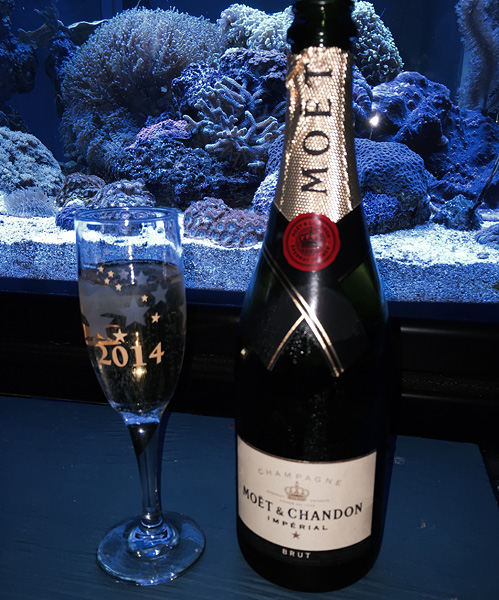 Name:  champagne.jpg
Views: 662
Size:  163.0 KB