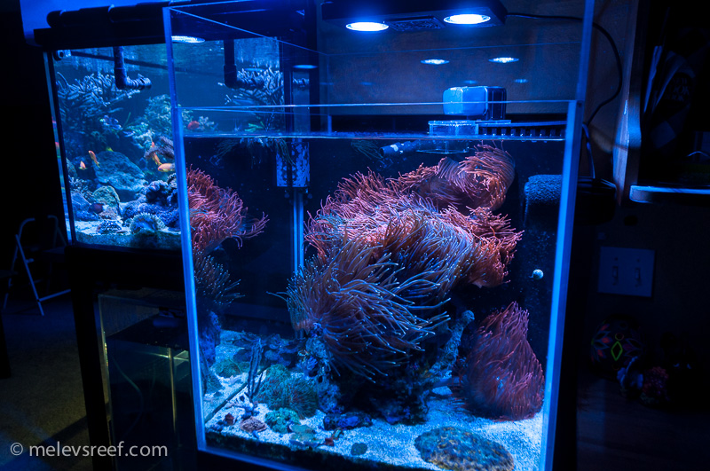Name:  60g-fts.jpg
Views: 797
Size:  282.4 KB