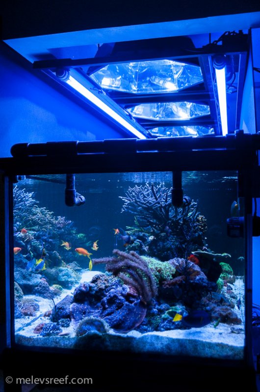 Name:  eot-with-lights.jpg
Views: 631
Size:  92.4 KB