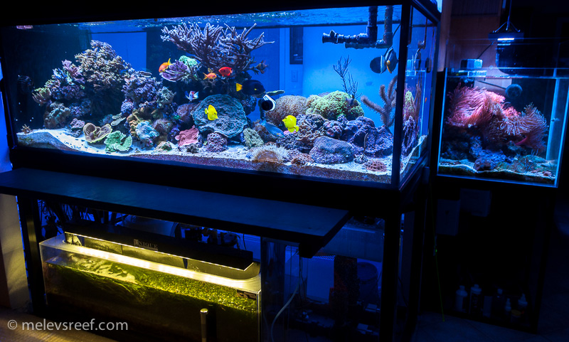 Name:  angled-view-fts.jpg
Views: 435
Size:  259.0 KB
