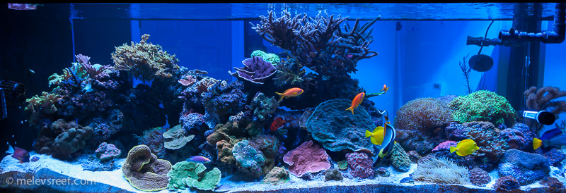 Name:  fts-11015.jpg
Views: 2274
Size:  216.0 KB