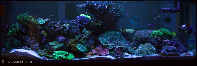 Name:  fts-41015.jpg
Views: 396
Size:  143.8 KB