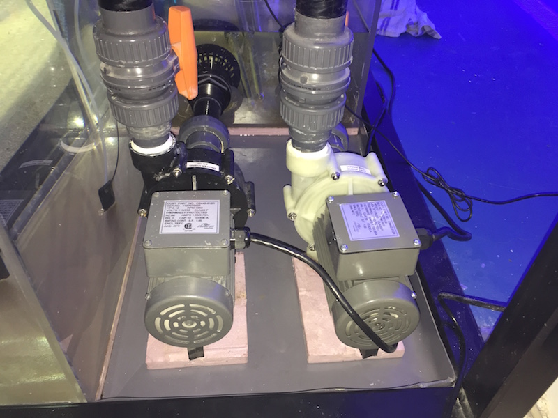 Name:  dual-pumps.JPG
Views: 287
Size:  172.0 KB
