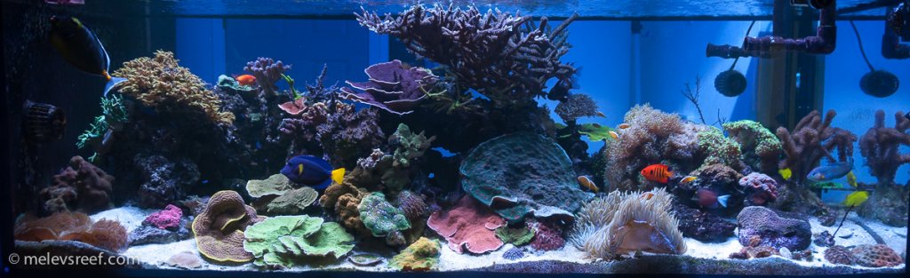 Name:  fts-072215.jpg
Views: 362
Size:  90.5 KB