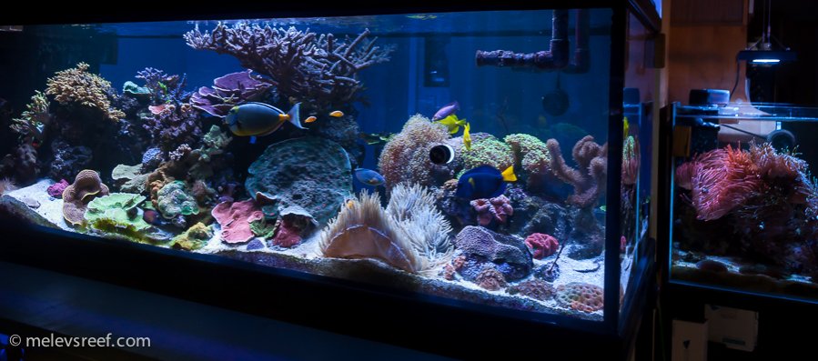 Name:  fts-82315.jpg
Views: 523
Size:  83.0 KB