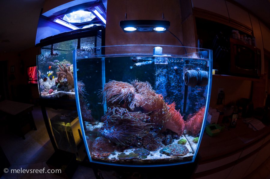 Name:  fisheye_60g.jpg
Views: 299
Size:  97.6 KB