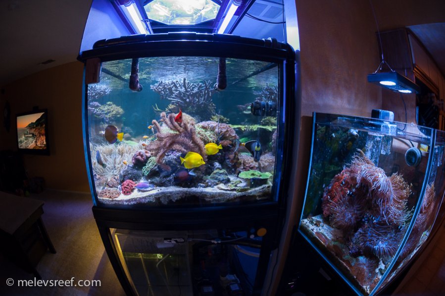 Name:  fisheye_eot.jpg
Views: 289
Size:  107.6 KB