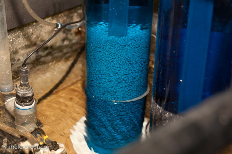 Name:  biopellets-in-reactor.jpg
Views: 702
Size:  73.3 KB