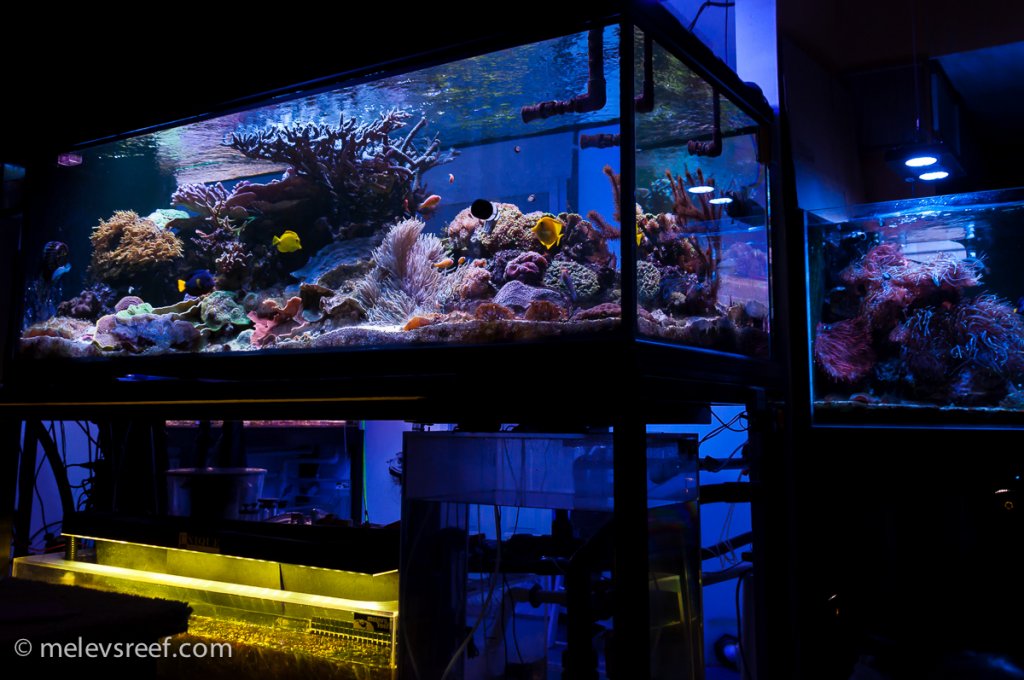 Name:  ftsx2-83116.jpg
Views: 5228
Size:  126.5 KB