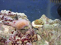 Click image for larger version

Name:	PICT1553.jpg
Views:	287
Size:	237.2 KB
ID:	1282