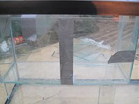 Click image for larger version

Name:	sump 085 02.jpg
Views:	874
Size:	157.3 KB
ID:	1332