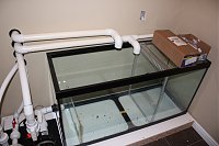 Click image for larger version

Name:	IMG_1740.jpg
Views:	1197
Size:	86.5 KB
ID:	1347