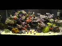 Click image for larger version

Name:	Picture737.jpg
Views:	5253
Size:	283.0 KB
ID:	1423