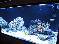Click image for larger version

Name:	IMG_4394.jpg
Views:	1030
Size:	93.9 KB
ID:	1572