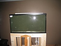 Click image for larger version

Name:	IMG_4390.jpg
Views:	996
Size:	67.9 KB
ID:	1578