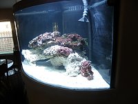 Click image for larger version

Name:	54 tank 1.jpg
Views:	943
Size:	115.3 KB
ID:	1598