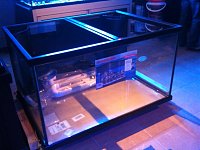 Click image for larger version

Name:	200DD tank.jpg
Views:	689
Size:	127.2 KB
ID:	1603