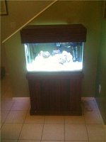 Click image for larger version

Name:	120.jpg
Views:	2220
Size:	14.9 KB
ID:	1610