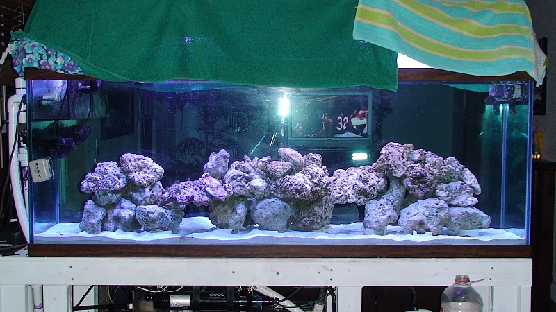 Name:  DSC00466.JPG
Views: 413
Size:  116.6 KB