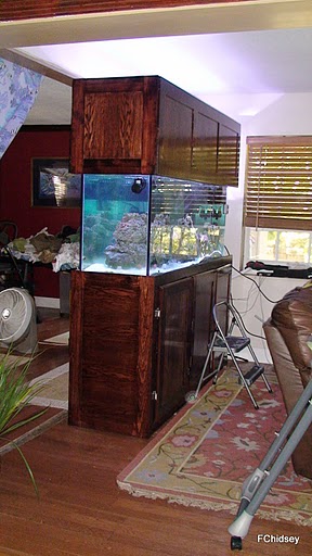Name:  DSC00950%20%281%29.JPG
Views: 396
Size:  47.2 KB