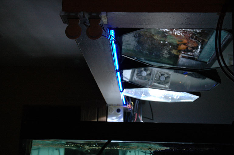 Name:  LEDs_in_place.jpg
Views: 402
Size:  50.7 KB