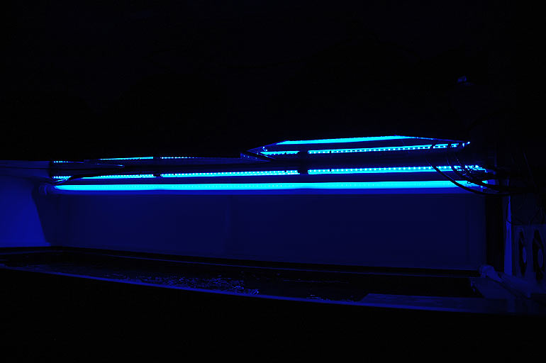 Name:  LEDs_on.jpg
Views: 419
Size:  33.3 KB