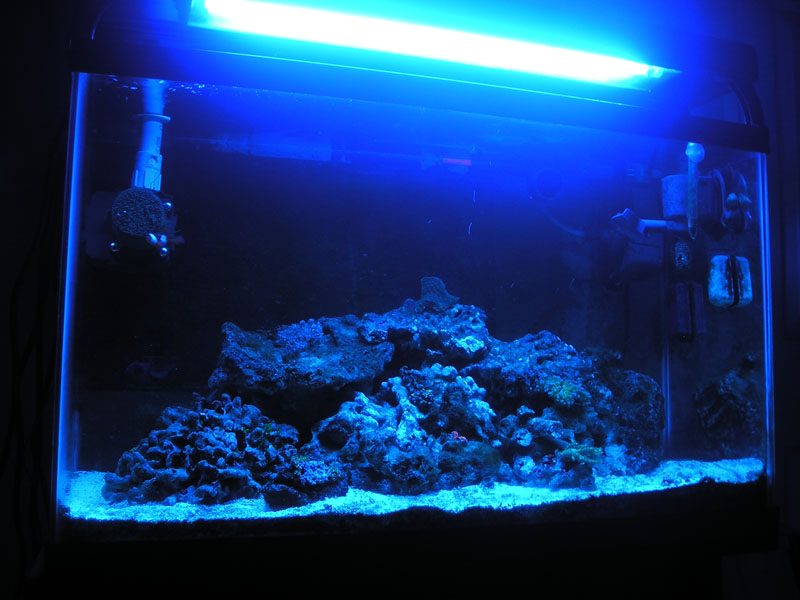 Name:  P1010185.JPG
Views: 340
Size:  111.5 KB